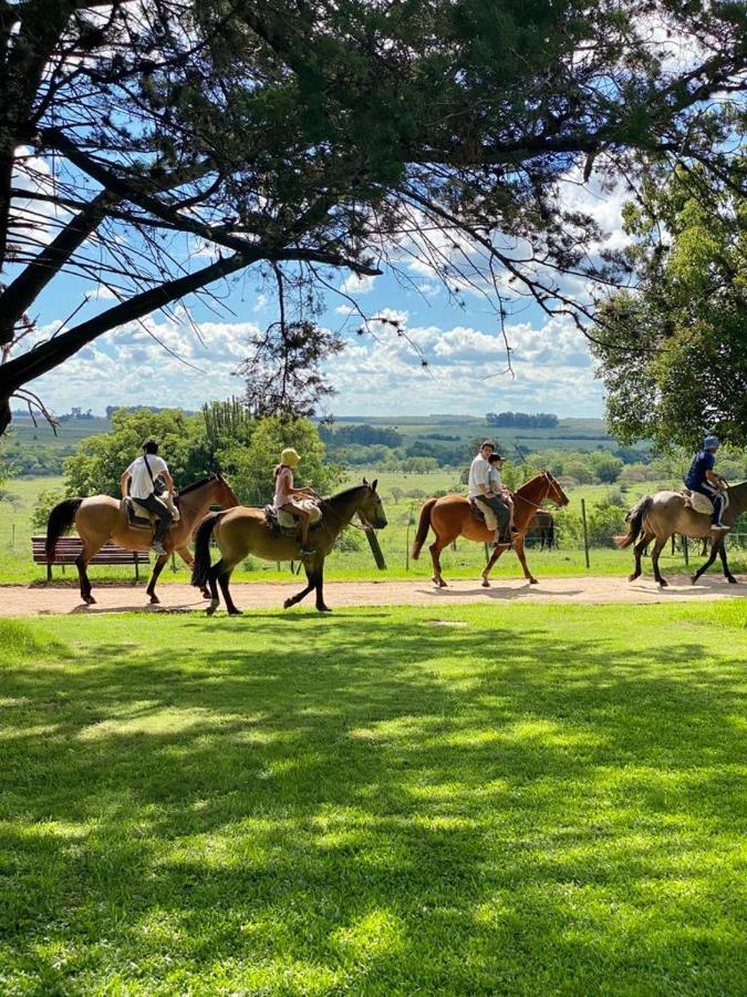 Estancia Turistica San Pedro De Timote Reboledo Exteriér fotografie